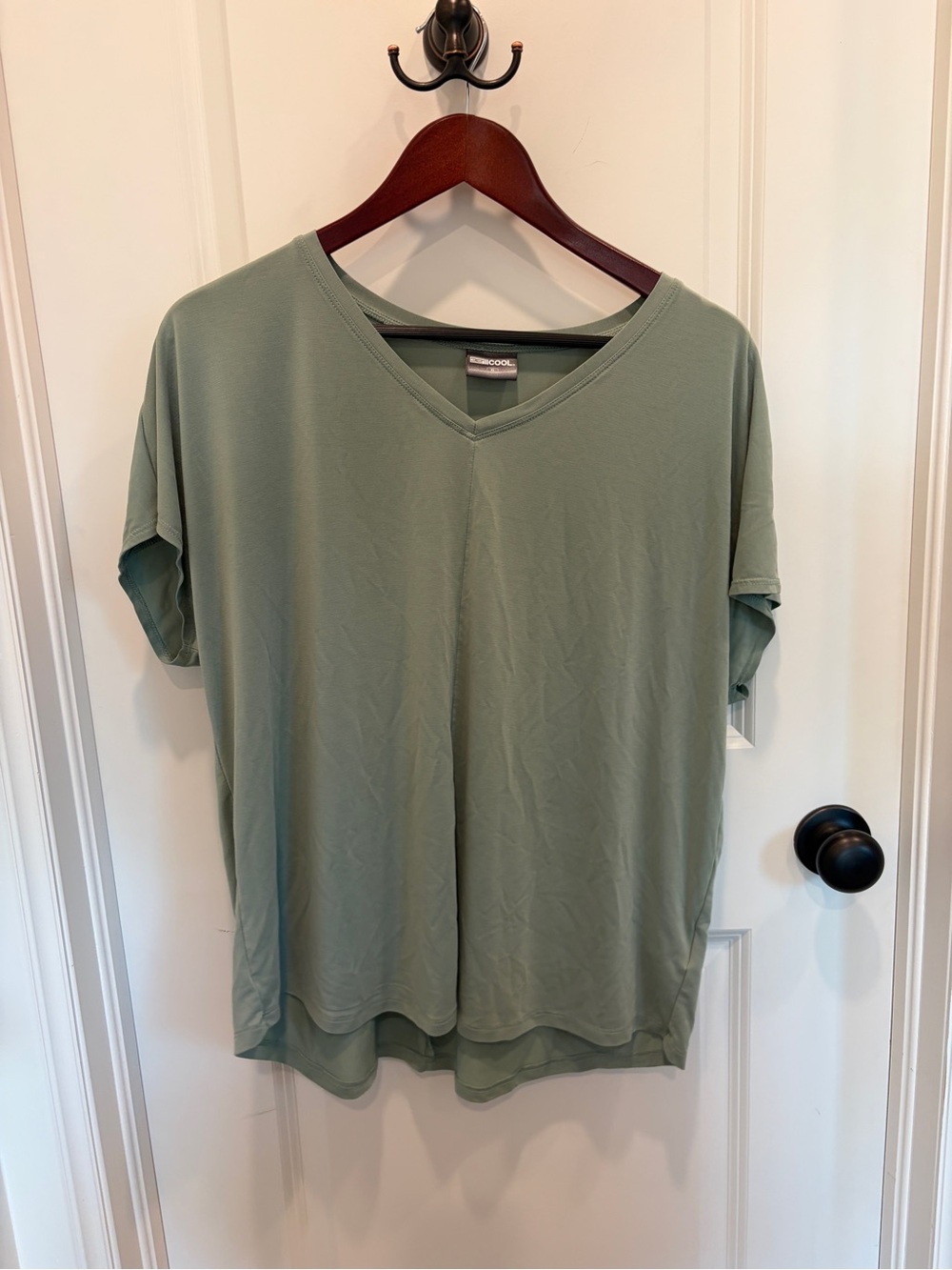 Relaxed V-Neck Short Sleeve Tee in Sage Green